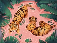 two tigers laying in the water surrounded by palm trees and leaves on a pink background