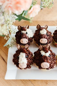 cupcakes decorated with chocolate frosting and farm animals are on a white plate