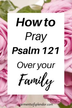 pink roses with the words how to pray psalm 12 1 over your family on it