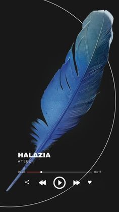 a blue feather sitting on top of a black background with the words halazia written below it