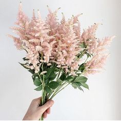 a person holding flowers in their hand