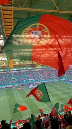 many flags are flying in the air at a soccer game