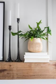 a potted plant sitting on top of a wooden shelf next to two black candles