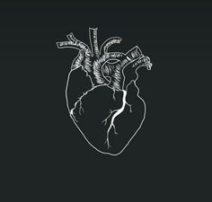 a black and white drawing of a human heart