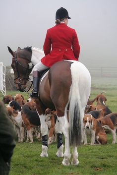 a man in a red jacket riding on the back of a brown and white horse