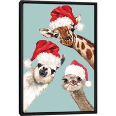 three giraffes wearing santa hats with an ostrich