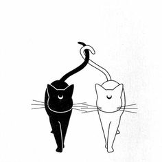 two cats walking next to each other on a white background