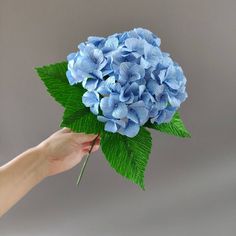 a hand holding a bouquet of blue flowers with green leaves on it's stems