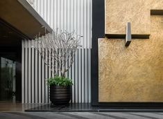 a potted plant sitting next to a tall building with white and black stripes on it