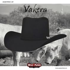 #westpointhats_usa 
It’s on u
#felthat #vakera 
#westpointhats🤠 
Wapp 4761233084
tienda.westpointhats.com 
westpointhats.com Felt Hats, Felt Hat, Felt, Hats