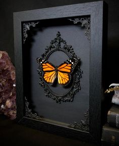 an orange butterfly sitting in a black frame