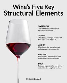 Wine For Beginners, Wine Tasting At Home, Wine Etiquette, Fruity Wine, Sweet Red Wines