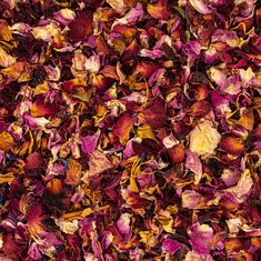 dried flowers are scattered on the ground for use as a background or wallpaper in this image