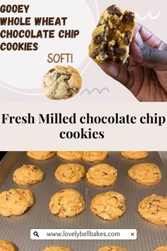 a person holding a chocolate chip cookie in front of a baking pan with cookies on it