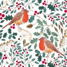 two birds are sitting on the branches of holly and berries, one is red with green leaves