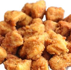 some fried food is sitting on a white plate and looks like it has been cooked