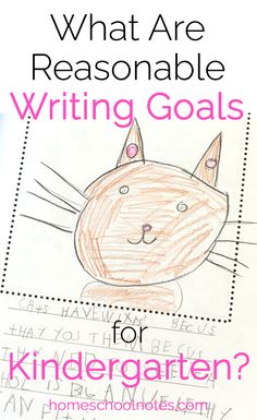 a drawing of a cat with the words, what are reasonable writing goals for children?