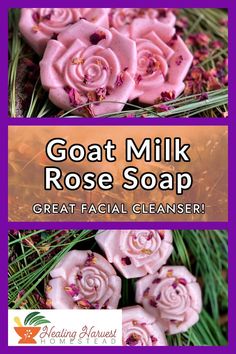 goat milk rose soap recipe with text overlay that reads goat milk rose soap great facial cleanser