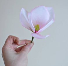 a person holding a pink flower in their hand