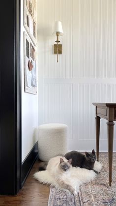 two cats laying on top of a rug next to a table