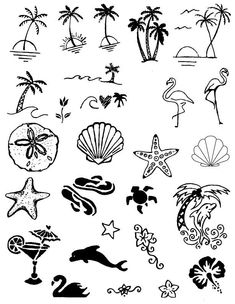 the different types of sea animals and seashells are drawn in black ink on white paper