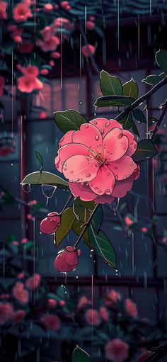 a pink flower with rain drops on it