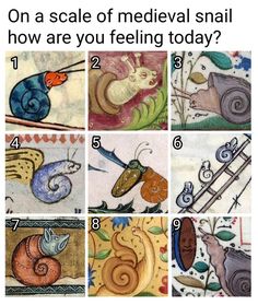 nine different pictures of snails and snails with the words, on a scale of medieval snail how are you feeling today?