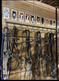 several different types of horse bridles hanging on a wall