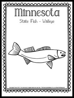 minnesota state fish and wildlife coloring page