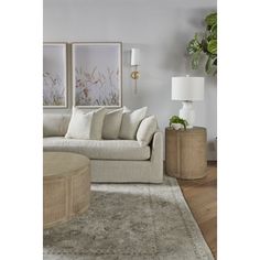 a living room scene with focus on the couch