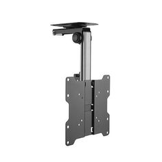 ZeboZap Outdoor Flip Down Ceiling TV Mount | Gazebo TV Mount | Patio TV Mount | Pergola TV Mount | Pitched Roof | Height Adjustable | Under Cabinet| Holds 44lbs | Fits 17-in. to 37-in gazebo tv mount ideas Outdoor Tv Wall, Outdoor Tv Mount, Ceiling Tv Mount, Patio Tv, Ceiling Basement, Tv Holder, Low Ceiling Basement, Pitched Ceiling, Ceiling Tv