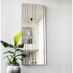 a potted plant sitting in front of a mirror on the side of a wall