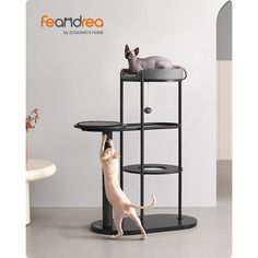 a dog standing on top of a black shelf next to a white cat sitting on it's back