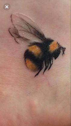 a close up of a bee on the side of a person's foot with it's eyes closed