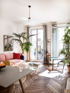 a living room filled with furniture and lots of plants on top of wooden flooring