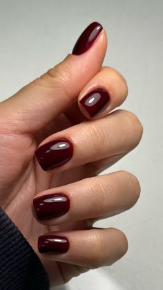 Simple Polished Nails, Short Fall Nails Burgundy, Nails Short Red Dark, Short Nail Burgundy, Burgundy Shellac Nails, Cherry Red Manicure, Very Dark Red Nails, Short Cranberry Nails, Dark Red Squoval Nails