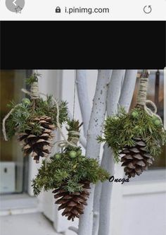 three pine cones hanging from the side of a tree