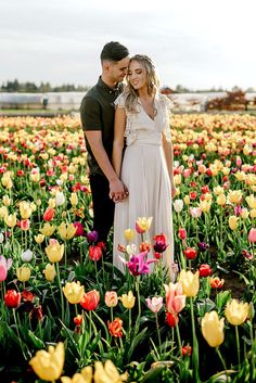 a man and woman standing in a field full of tulips