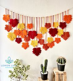 an assortment of autumn leaves hanging on a wall next to cacti and succulents