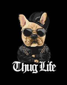 a dog wearing sunglasses and a hat with the words,'things life'written on it