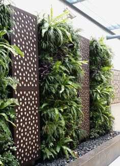 an outdoor living wall with plants growing on it