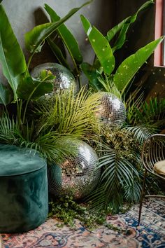 there are many plants in the room and one is on the floor next to a chair