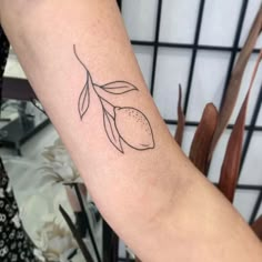 an olive branch tattoo on the arm