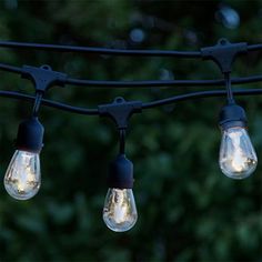 some lights that are hanging from a wire with trees in the backgrouf