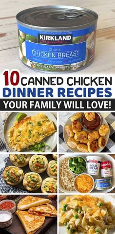 the top ten canned chicken dinner recipes