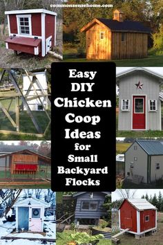 chicken coop ideas for small backyard flocks are easy to make and can be used in many ways