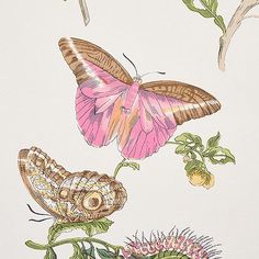 an image of two butterflies on top of a pink flower with green leaves and flowers in the background