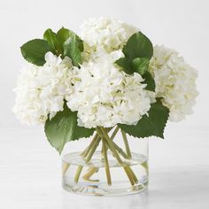 a vase filled with white flowers on top of a table