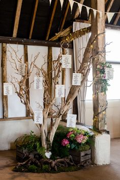 a tree with lots of branches in a room