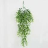 a green plant hanging from the side of a white wall